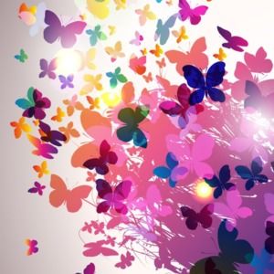 Meet your Posher, Doraida